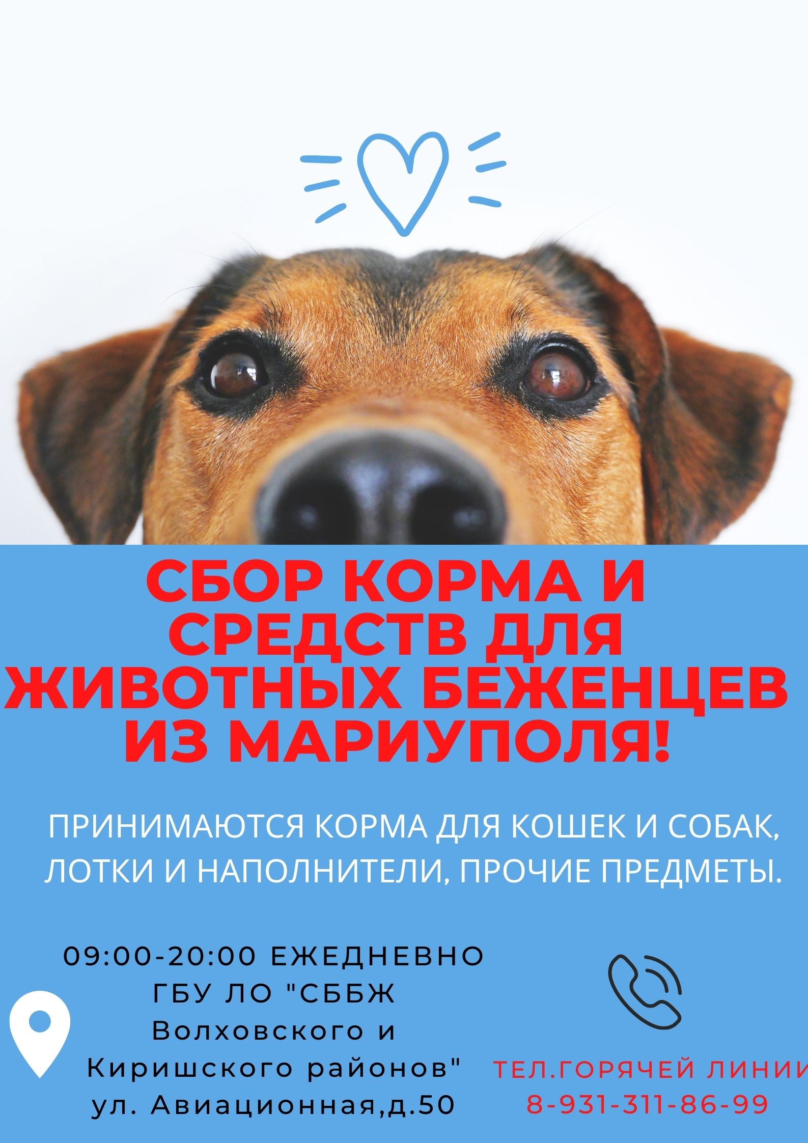 ГБУ ЛО «СББЖ Волховского и Киришского районов» - Новости и Работа Учреждения